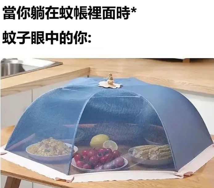 当你躺在蚊帐里面时
