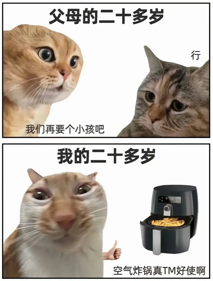 空气炸锅真好使啊哈哈哈哈