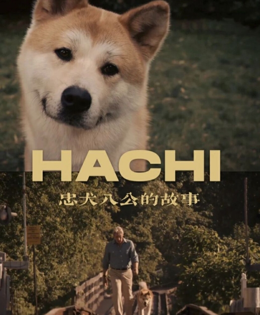 #高分电影推荐# 以下是精心挑选的几部豆瓣高分电影，它们涵盖不同题材与风格，供您