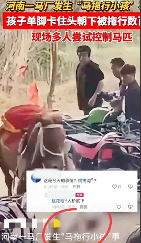 看到这则消息，我想到自己每次去公园游玩时，看到骑马的项目都想让儿子一试，我觉得男