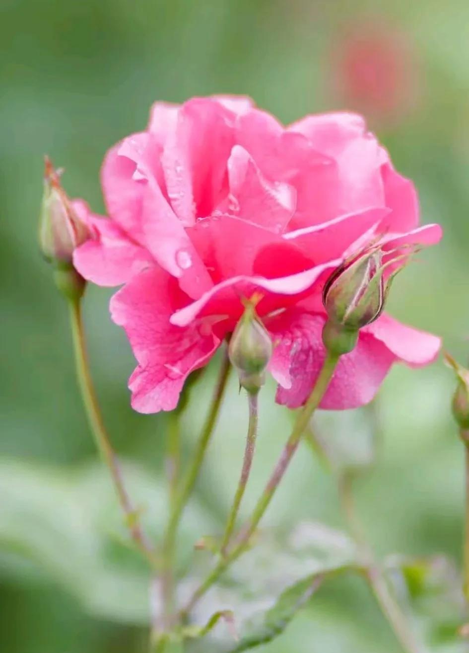 面对恶意，咱得强大，这就是反击