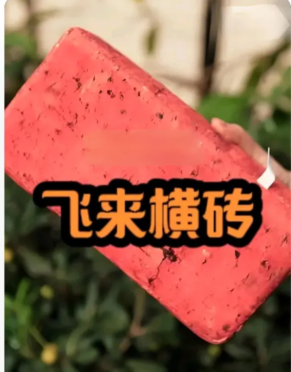 6月19日，河北邯郸某高校发生了一起惊人的事件。一名女生因情感纠纷，竟然将一块砖