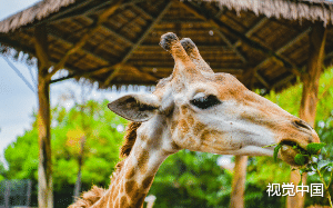 死对头在我破产的时候讹诈我