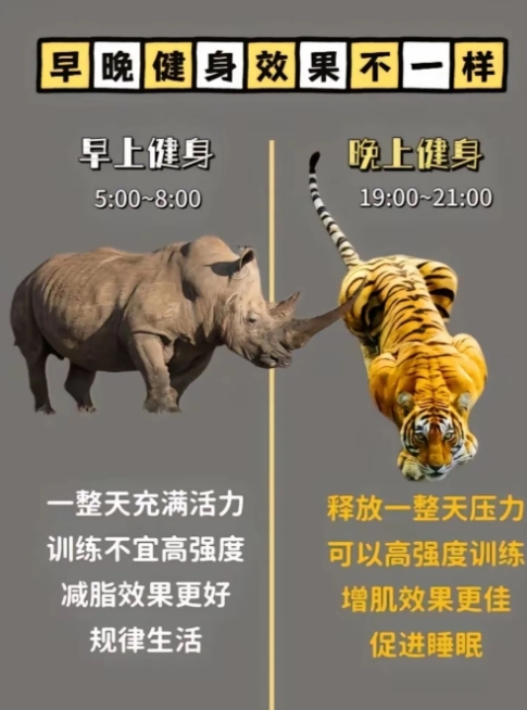 健身冷知识，劳逸结合，预留肌肉恢复时间。