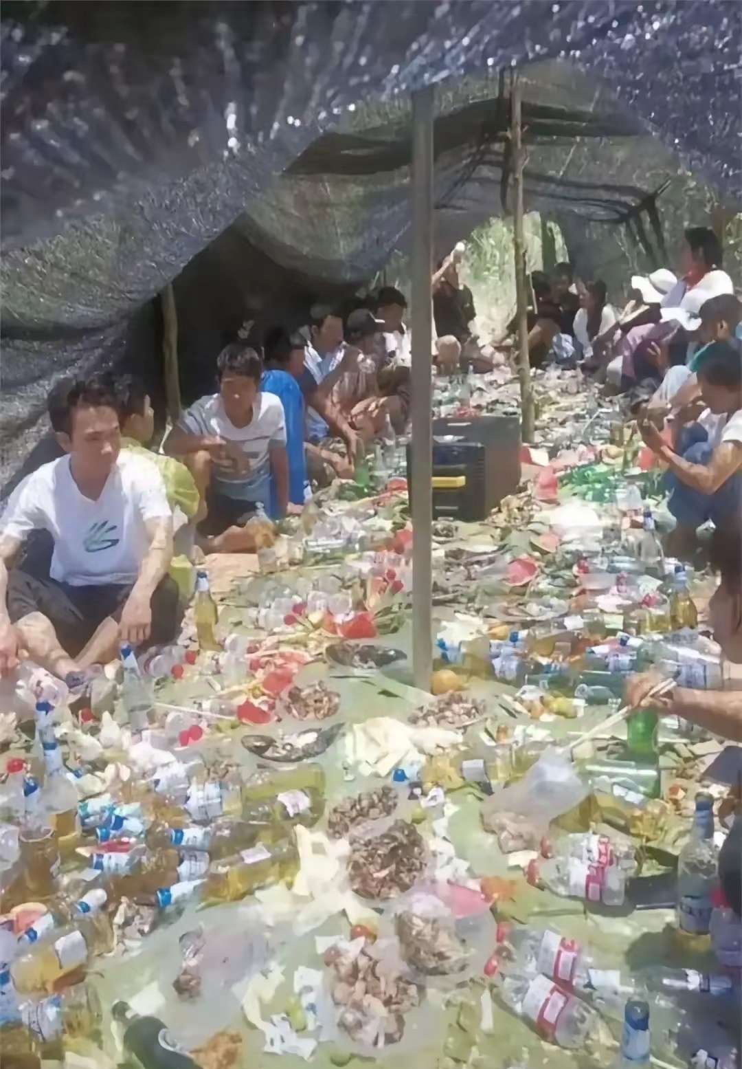 为什么感觉很多人团建结束之后都会选择辞职的。