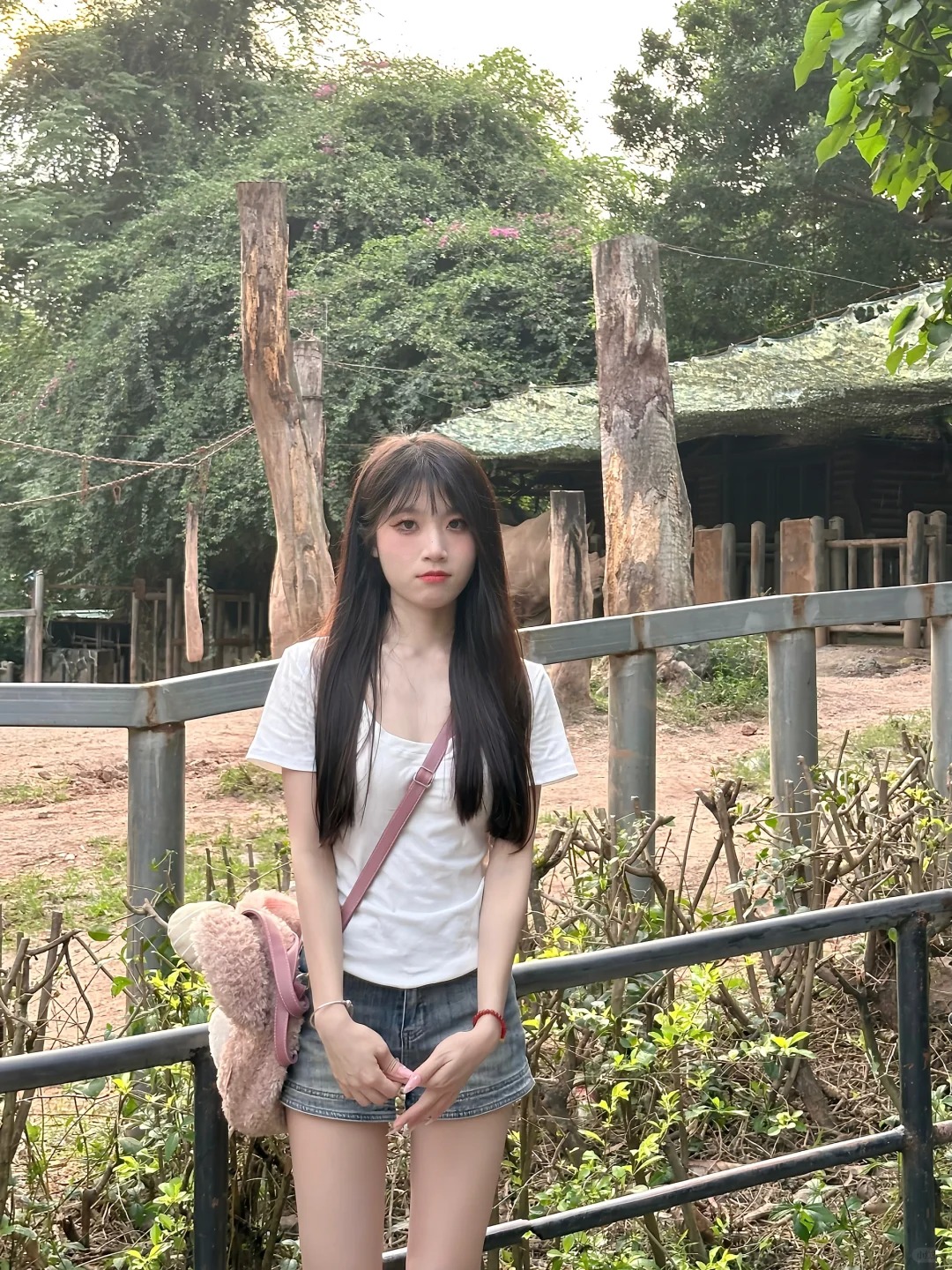 动物园里面有什么🐾