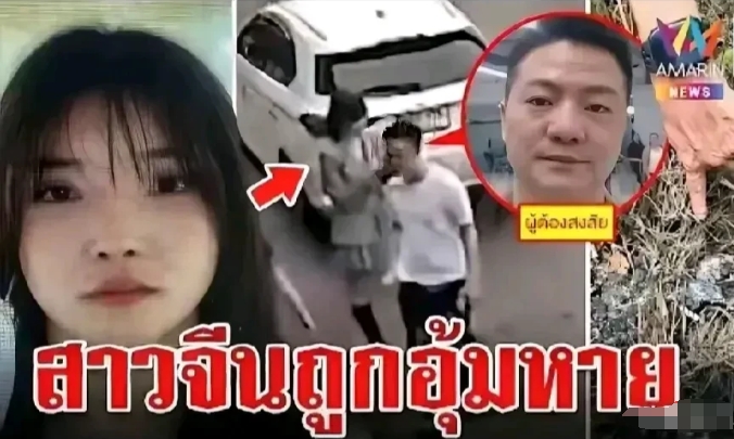 应该在东南亚国家搞一次联合执法，搞清楚东南亚国家是不是存在一个有组织有计划有高度
