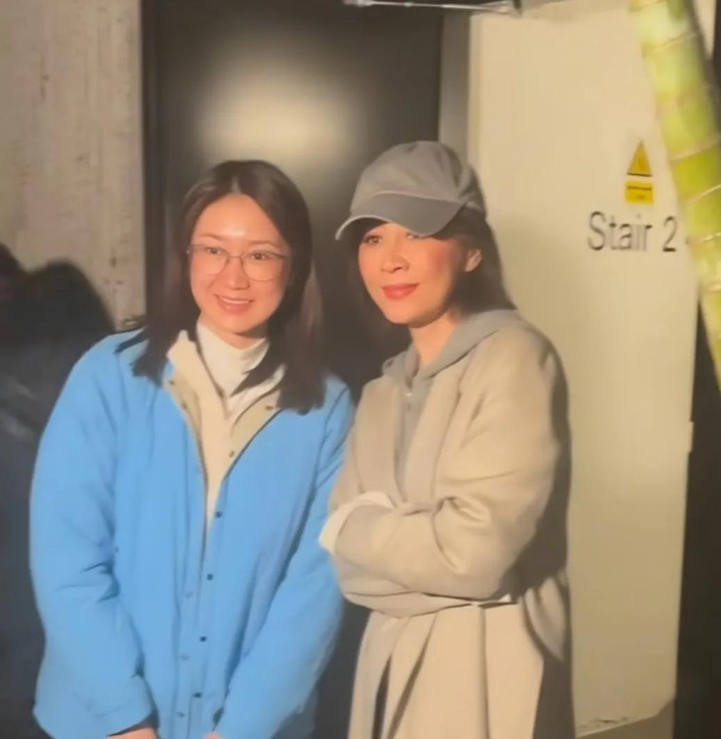 应用该视频由“娱乐明星”发布，聚焦刘嘉玲出演《香港式离婚》的造型。标题强调刘嘉玲