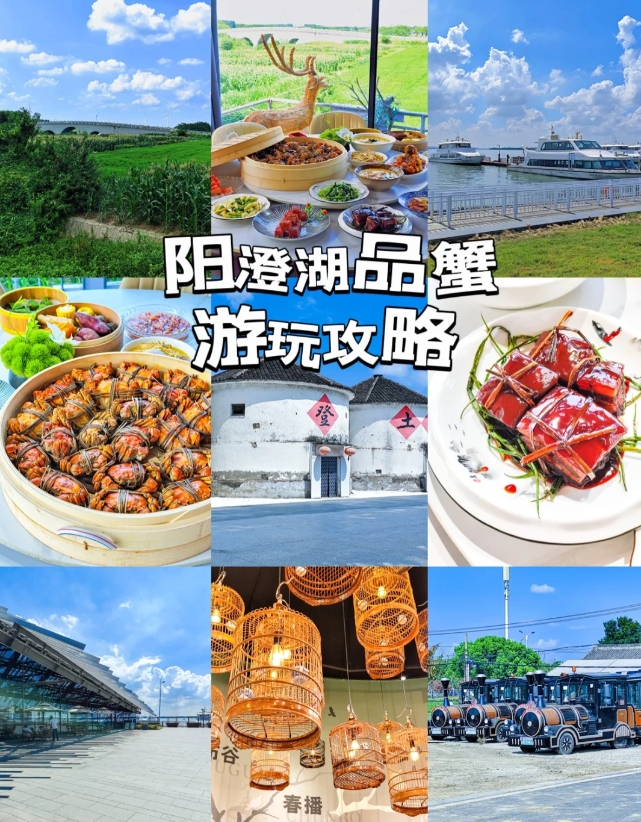 阳澄湖品蟹游玩攻略！看这篇就够了！
国庆假期来苏州游玩
必不可少的就是去品尝阳澄