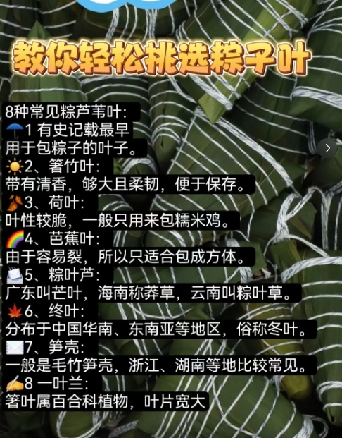 要说最有粽香味的叶子，箬竹叶是实至名归的第一名，在众多叶子中脱颖而出，箬竹叶既有