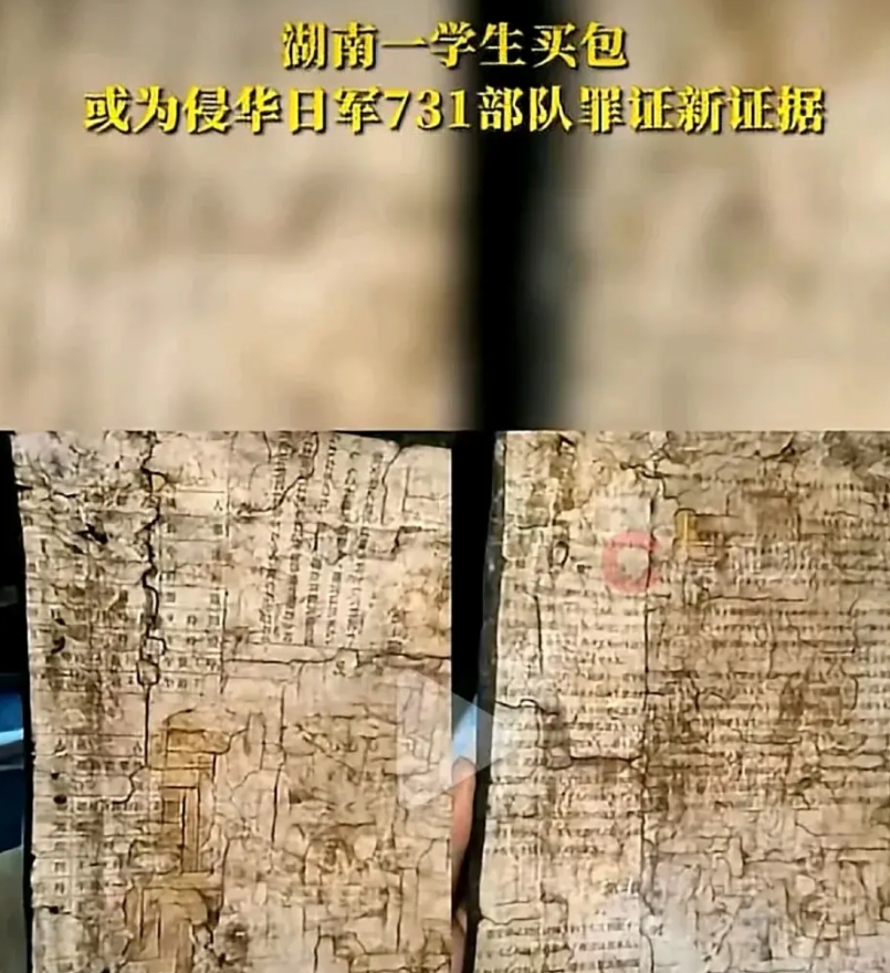 大学生买包发现731部队调查残件，这三点细节不得不服！

1、罪证文物经历了重重