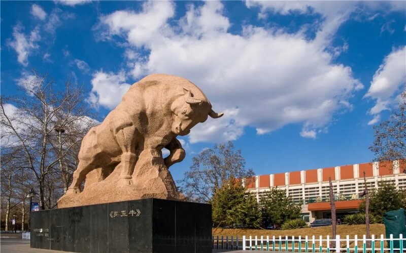 中国政法大学毕业生就业去向