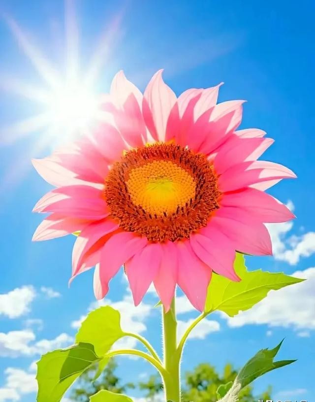 生活中，要狠狠记住的