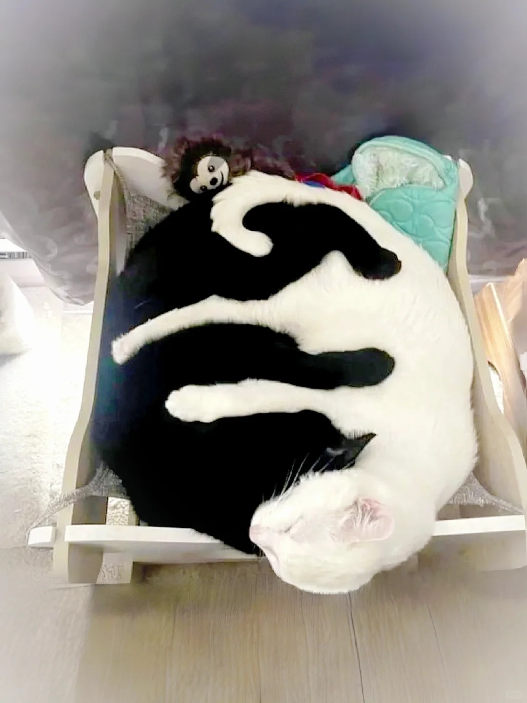 带大家了解一下榫猫结构
严丝合缝的工艺美学，
猫猫出品，必属精品