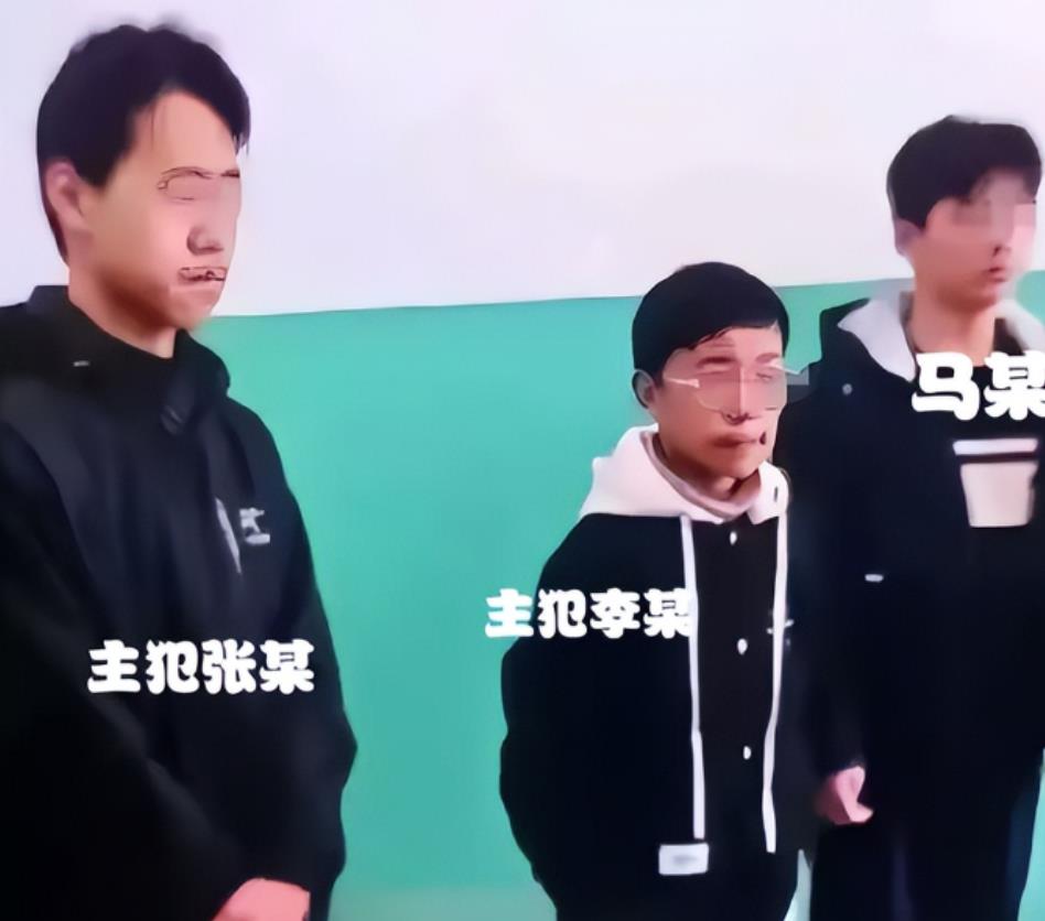 我原本以为中间的小矮子是没被判刑的那个，没想到他竟是主犯，旁边这个大个子虽然貌不