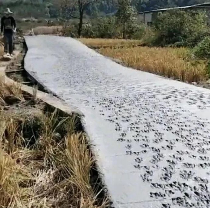 村子修路了，村长让帮忙取个名字