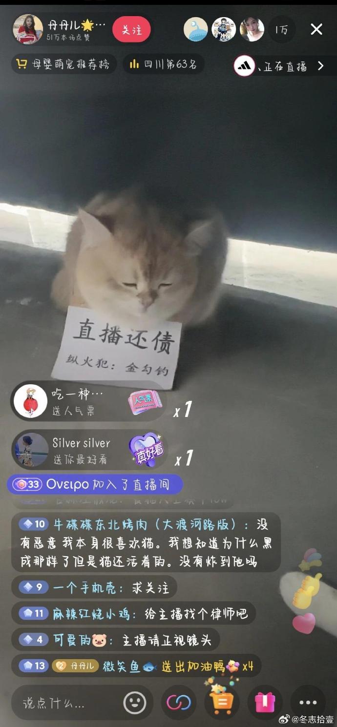 四川最牛批的猫咪 ​