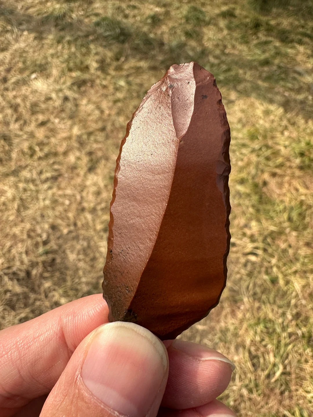 徒步无人沙漠捡到宝贝，一眼就认出了它～
特征十分典型，看懂的评论区扣个答案，户外