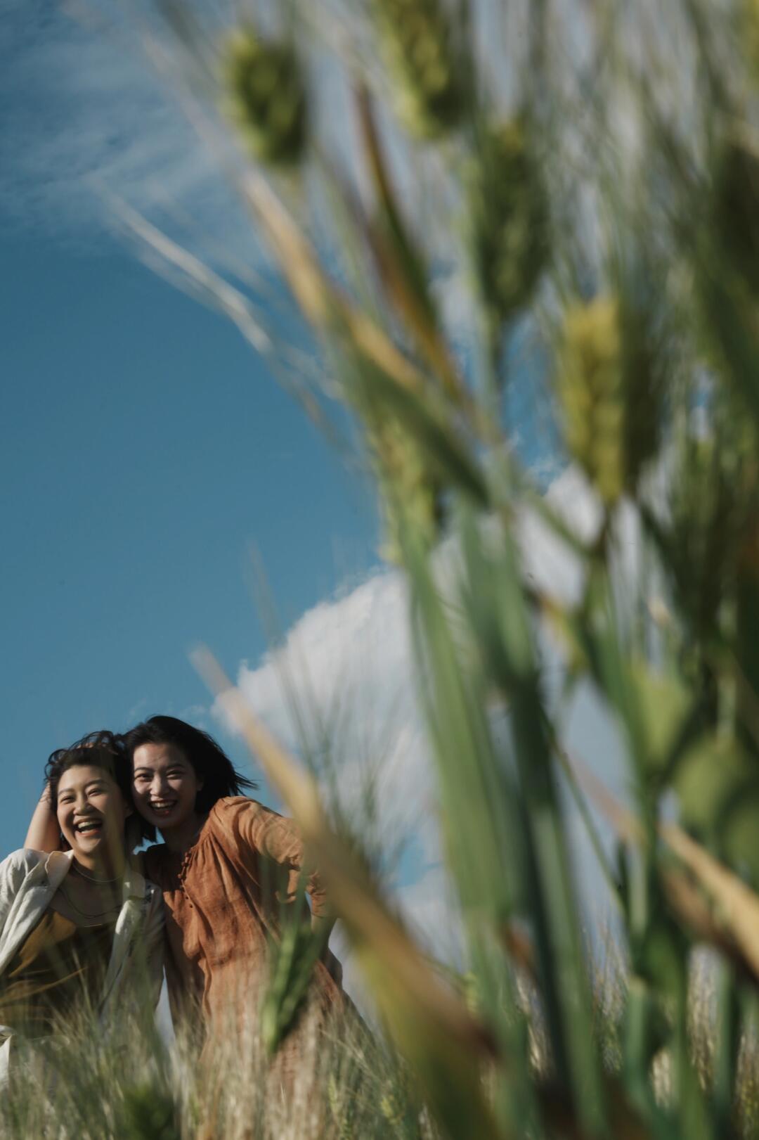 乡土中国6｜麦田里的我们是自由的