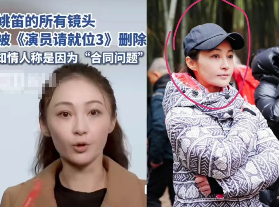 您提到的姚笛、马伊琍、文章、管虎和梁静之间的故事，确实充满了曲折和争议。在娱乐圈