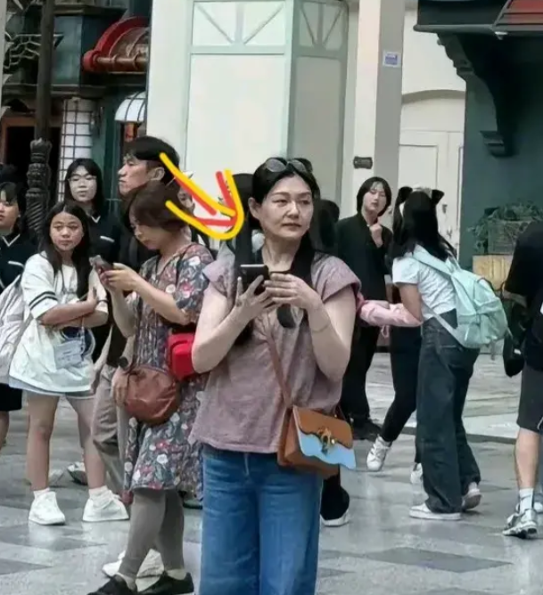 在炎炎夏日的某个平凡日子，一张偶然捕捉到的照片在网络上迅速发酵，将大S的生活片段