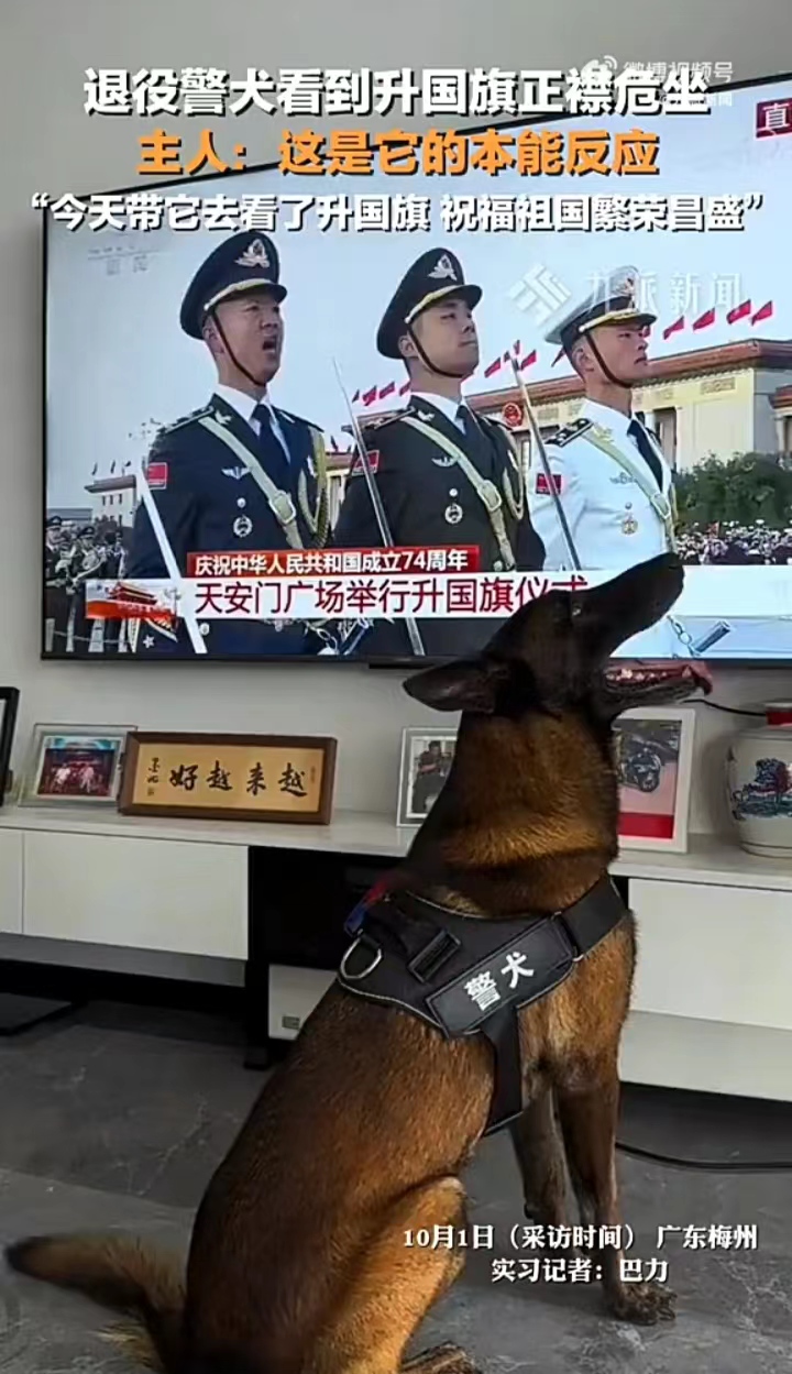 退役不褪色！