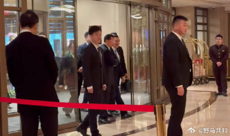 老马在钓鱼台国宾馆的送行晚宴上喝了不少，回到下榻酒店时由国台办副主任潘贤掌微微搀