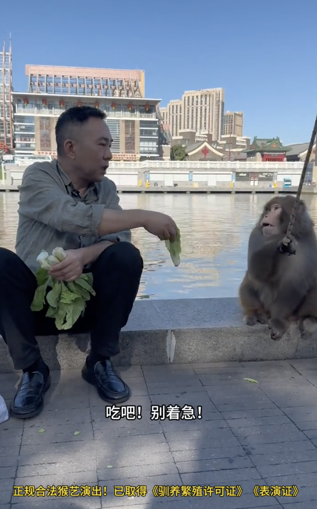 杨议跟侯家是彻底翻脸了，用一个真猴子来暗骂侯家，这就是闹玩扣眼珠子，这是来真的了