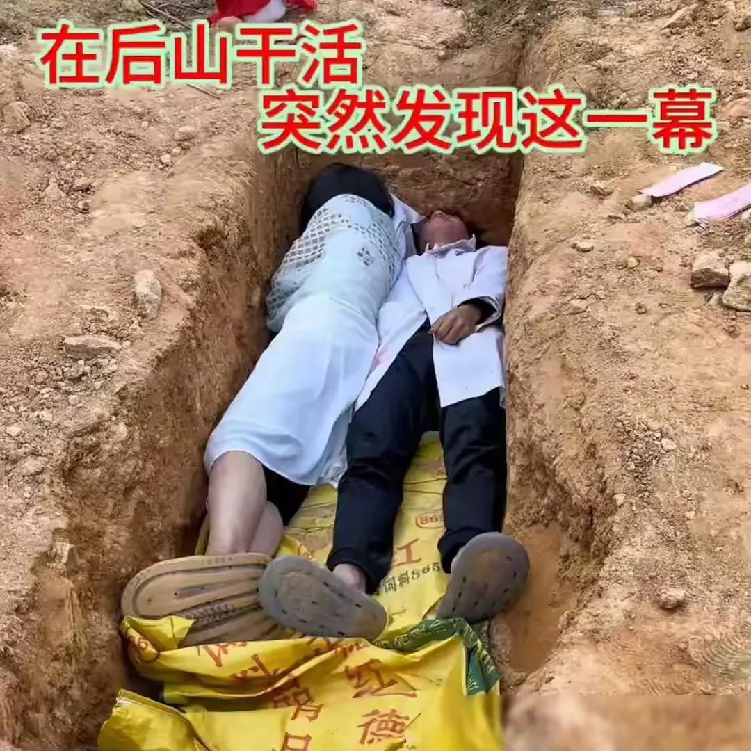 爬山突然看到这一幕，我该怎么办？