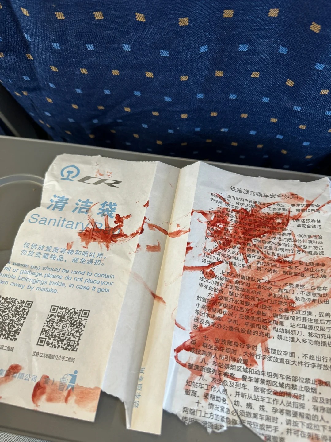 高铁带娃，小心翼翼的
#高铁出行 两岁八个月的娃第一次坐高铁，幸好只是两个小时
