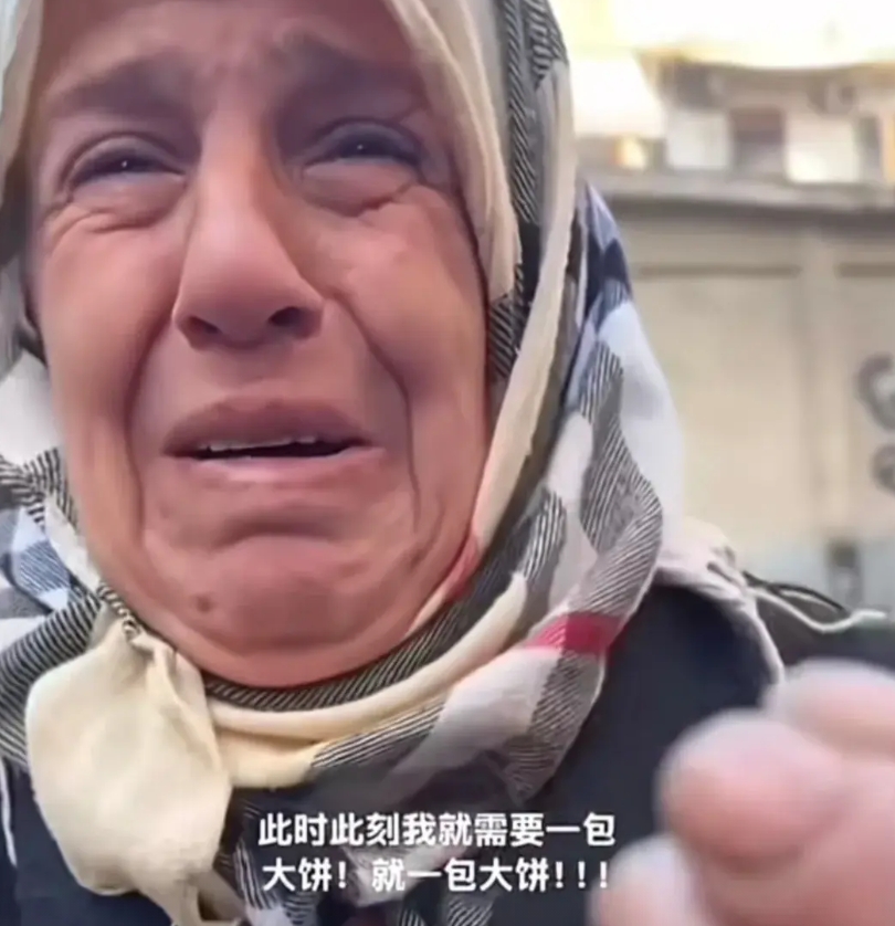 叙利亚现在的局面就是，羊群推倒了围栏，羊在狂欢，其实是以色列等群狼的盛宴，以军开