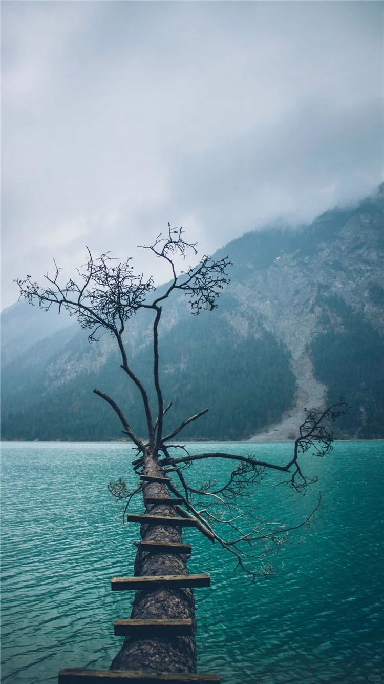 有在青城山，都江堰的吗？来个实图呗
让我体验一下云旅游的感觉，抽取一张最美的照片