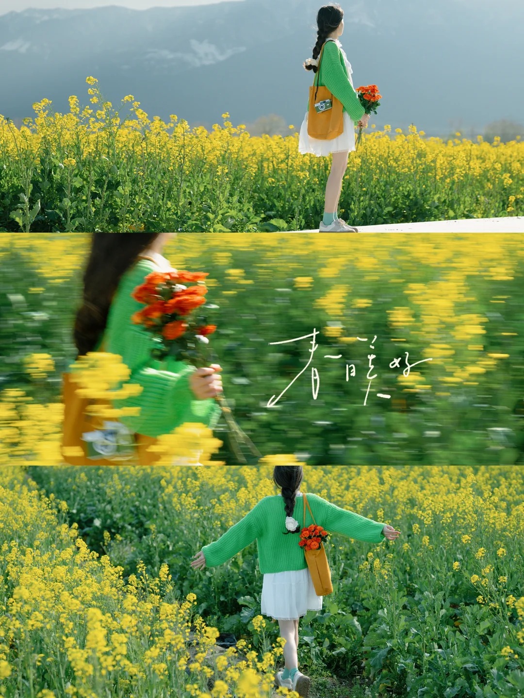 电影感氛围 | 油菜花拍照🎞️春日油画滤镜
早春的油菜花开了
这个季节带上相机