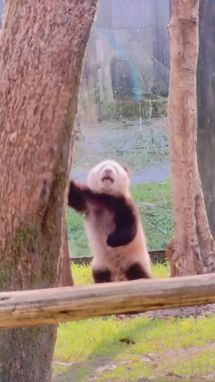 如果悲伤有形状哈哈哈哈哈哈哈哈哈哈哈哈哈
哈哈哈哈哈哈哈哈哈哈哈哈哈哈哈哈哈哈哈