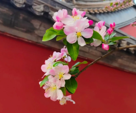 以前总觉得做女人，漂亮很重要；后来成长了才发现，有品味和气质很重要。

再长大一