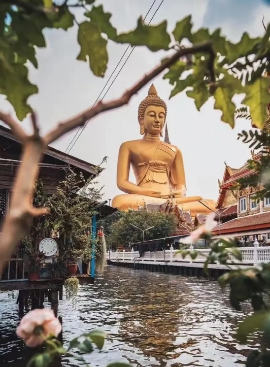 今年公司终于大方了一回，请我们市场部去泰国旅游，就当做年终奖了。去泰国的住宿费路