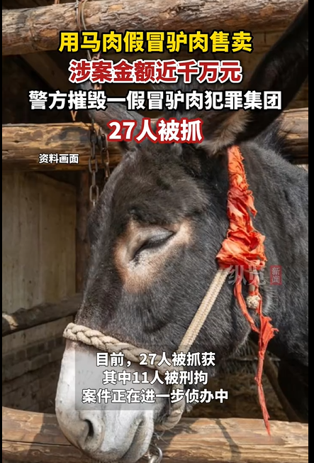 马肉当作驴肉来卖，涉案金额千万，配料表都不可信了？