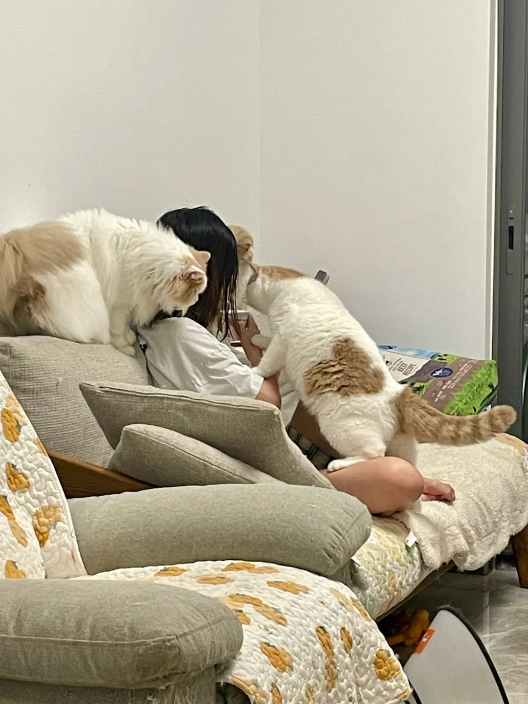 吃个酸奶怎么这么难啊
感觉被猪围剿