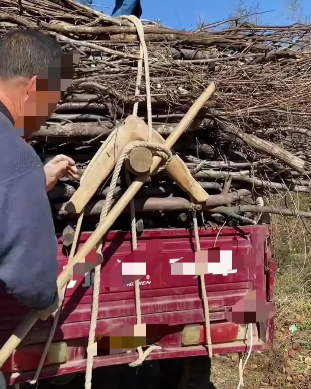 陕西商洛，男子让71岁大爷开电动三轮车帮自己拉柴火，返回途中与大爷同坐在驾驶位上
