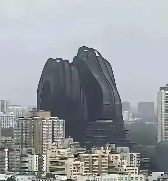 这是被熏黑了吗