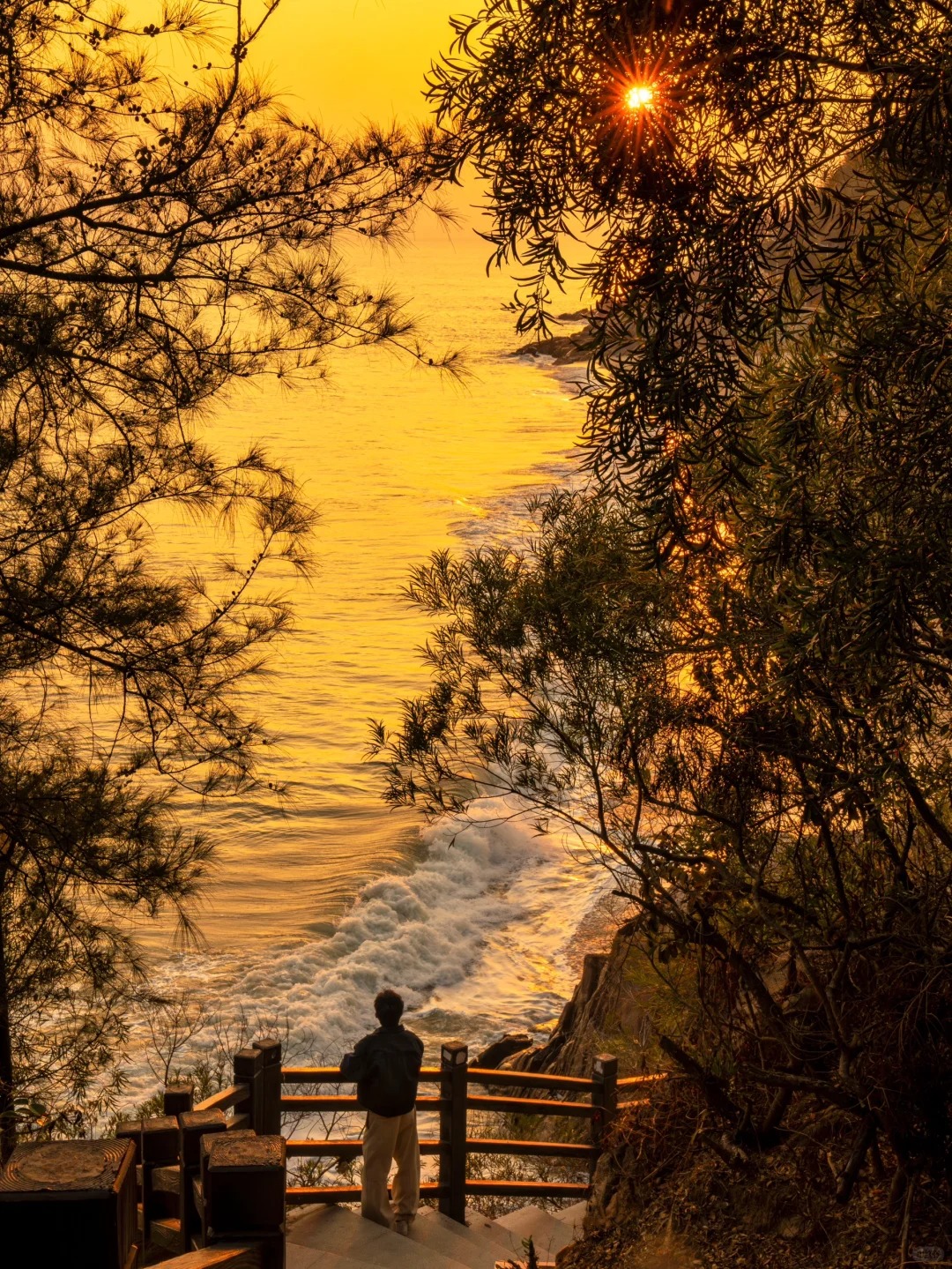朋友圈问疯了❗️这真的是广东不是国外😂
✨给大家推荐一个春节好去处
淡季里的海