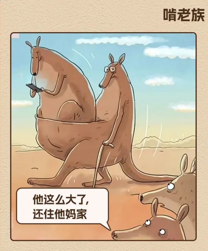 超级搞笑的动物漫画，却治愈了我