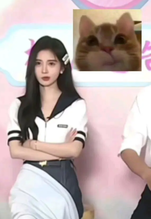 鞠婧祎模仿歪嘴小猫可爱吗？