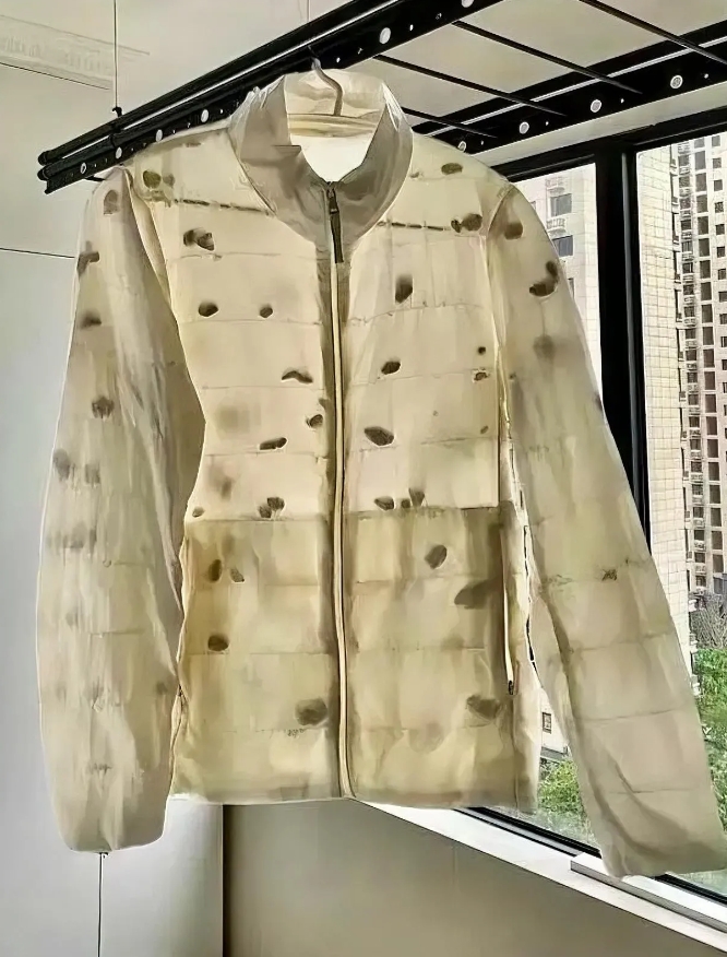 现在有些羽绒服，纯属是个装饰外套。前段时间逛商场，看到羽绒服促销，鼓鼓囊囊的感觉