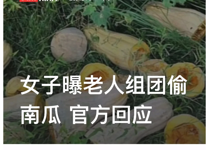 湖北武汉，95后的余女士投资100余万元，种了1000余亩南瓜，没想到被当地老人