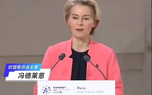 欧洲被怒了！

欧盟委员会主席冯德莱恩2月18日表示：“乌克兰应通过实力实现和平