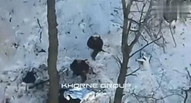 乌军终于知道为什么朝鲜军队这么能骁勇善战？这时候在白雪皑皑的战场上，他们看到了一