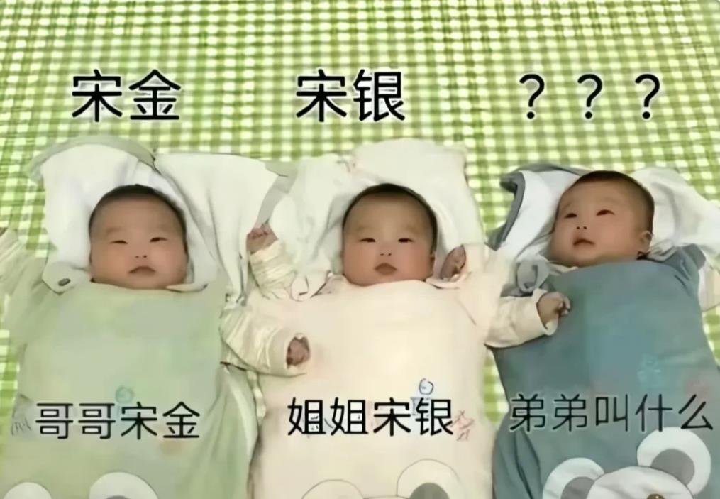 三胞胎，哥哥姐姐都有名字了，弟弟应该取什么名字？（只要不叫宋铜就行。）