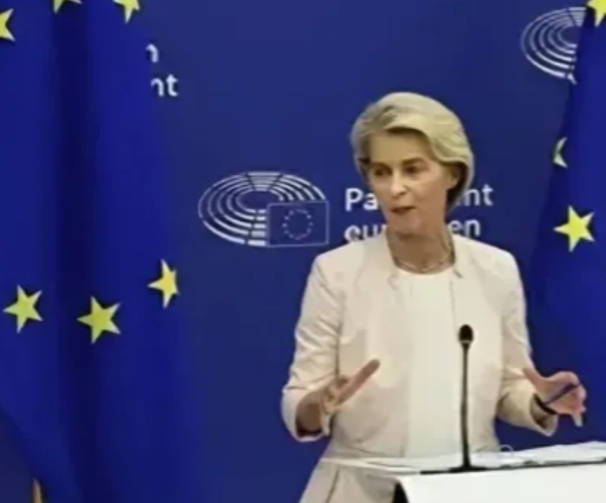 中方与立陶宛断得彻底，欧盟审查对华投资，27 国 26 个不敢举手
 
1. 中