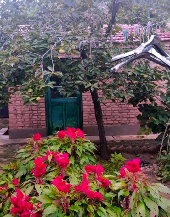 我朋友被公公难为住了，她公公60岁了，刚退休，在家闲不住，非要儿媳给找份工作，最